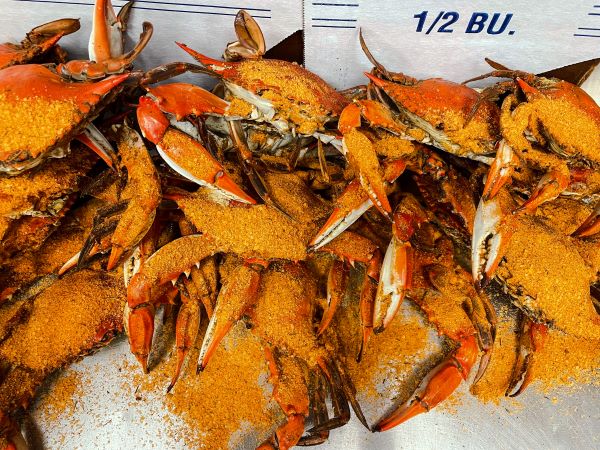 10% OFF Bushels + :: Combo 6 ~ Crabs & Shrimp Dinner ~ Female Sook •Half  Bushel• Steamed Maryland Blue Crabs {5”-7”} [c. 3.5 dozen] FRESH & 2-lbs.  Jumbo Gulf White Shrimp {